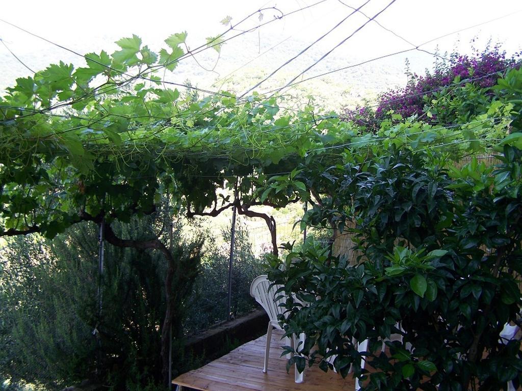 B&B Baddesalighes Bolotana Exterior foto